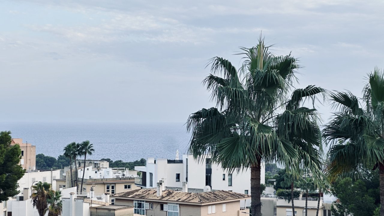 Ausblick von der eigenen Dachterrasse