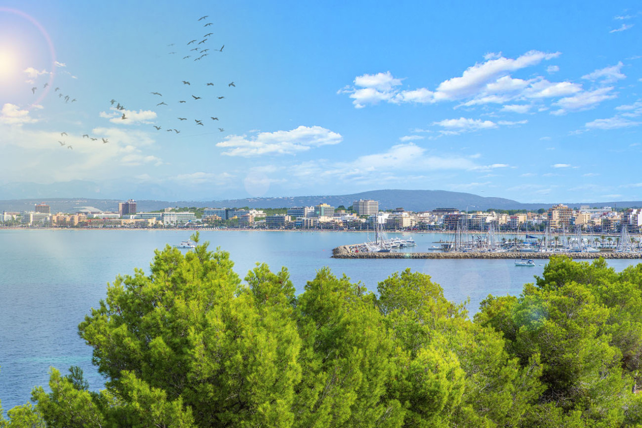 Son Veri Nou. Luxury villa of the highest class in 1. Line