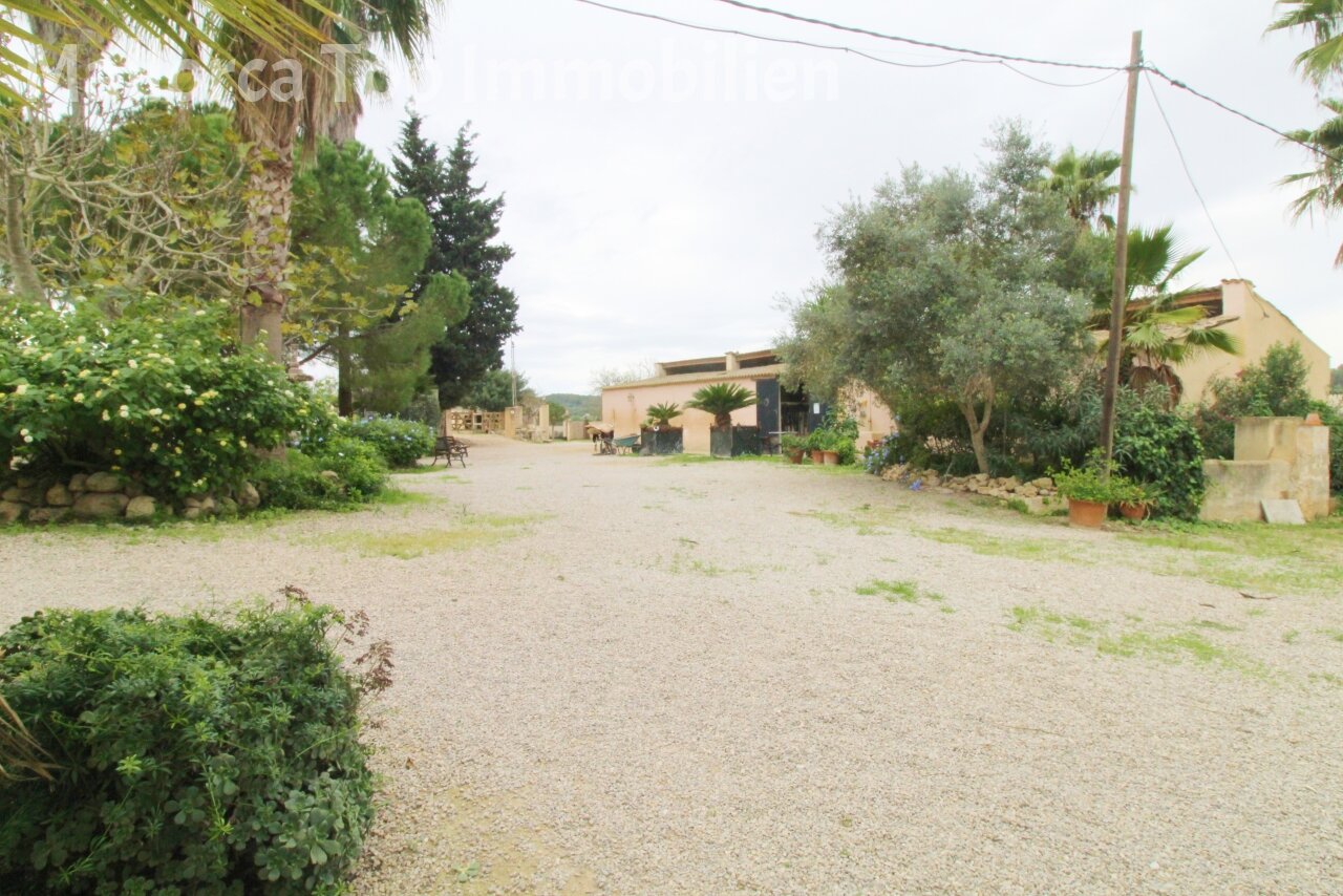 Finca mit Gästehaus () Finca mit Gästehaus ()