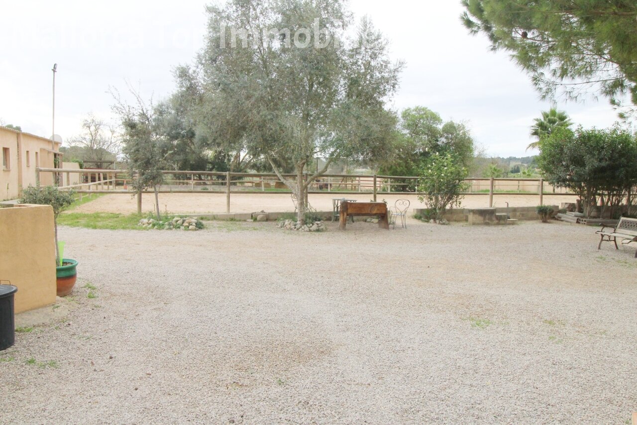 Finca mit Gästehaus () Finca mit Gästehaus ()