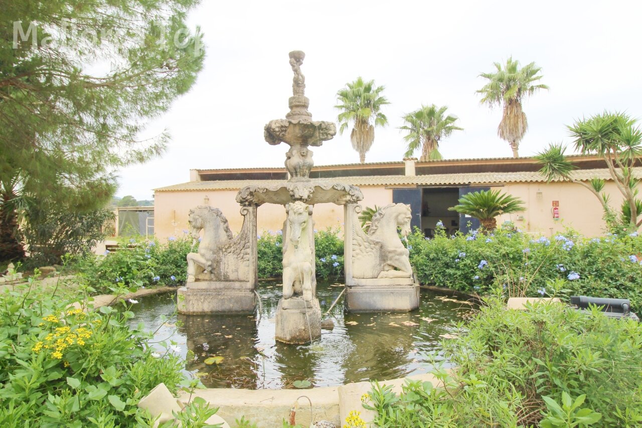 Finca mit Gästehaus () Finca mit Gästehaus ()
