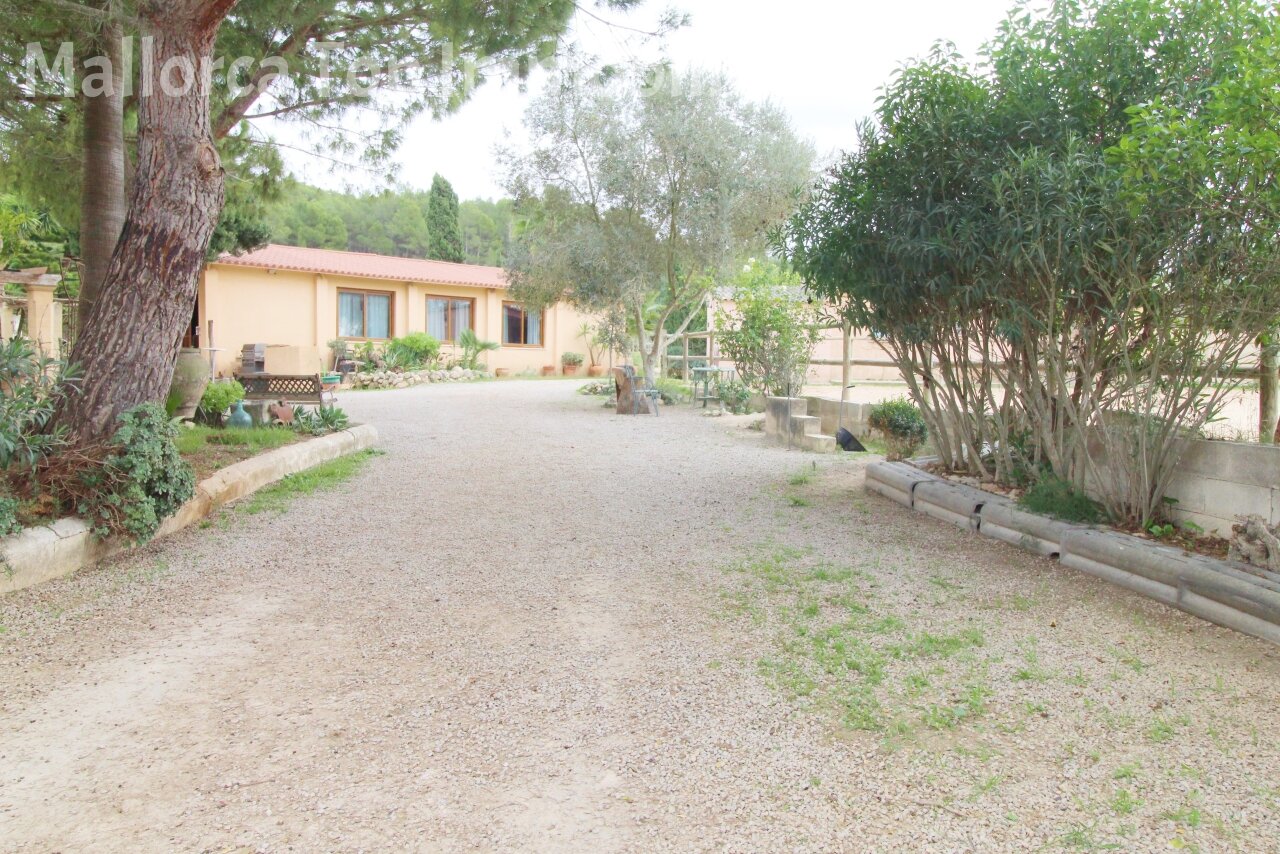 Finca mit Gästehaus () Finca mit Gästehaus ()