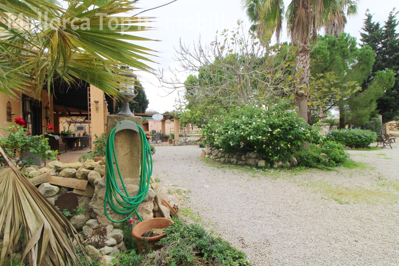 Finca mit Gästehaus () Finca mit Gästehaus ()