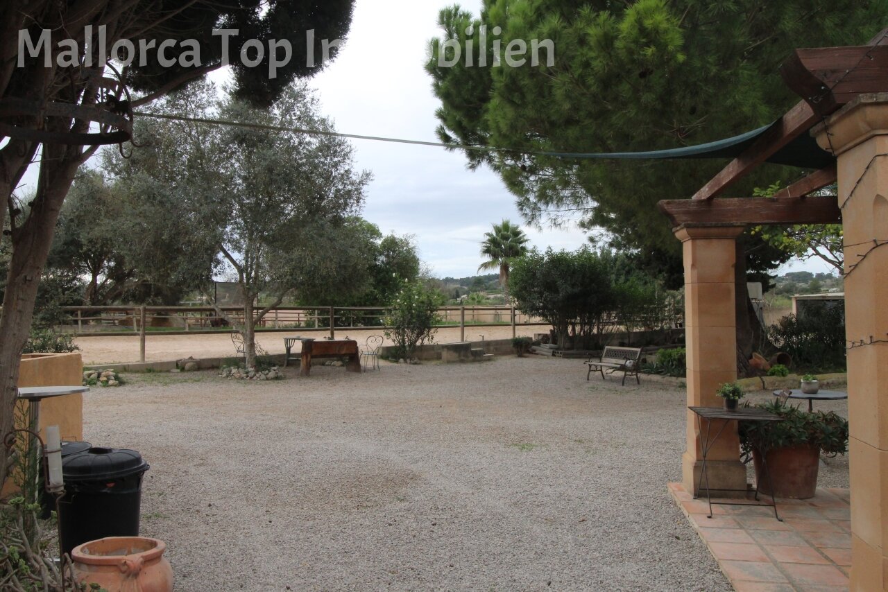 Finca mit Gästehaus () Finca mit Gästehaus ()