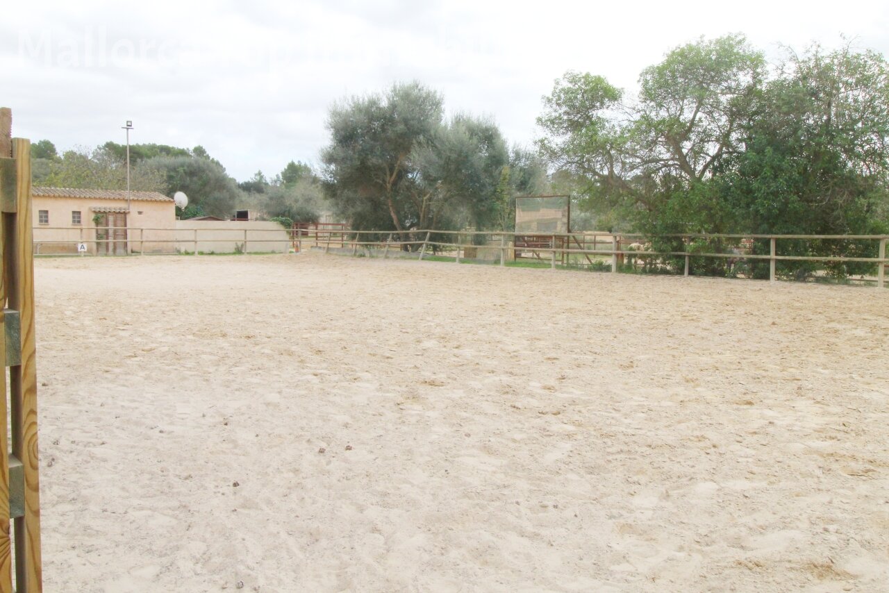 Finca mit Gästehaus () Finca mit Gästehaus ()