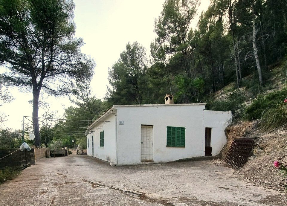 Haus Ansicht von vorne Haus Ansicht von vorne