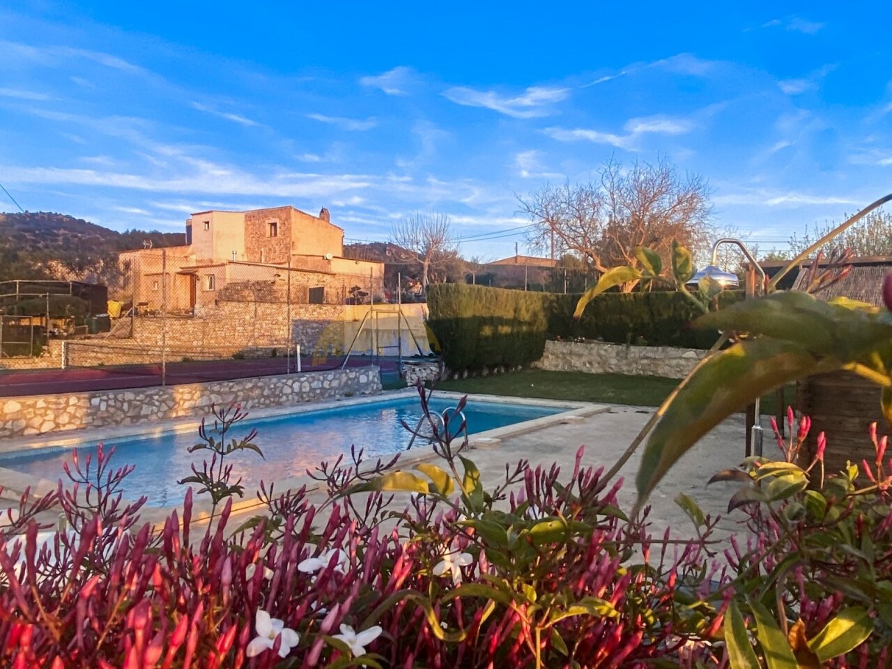 Finca Finca