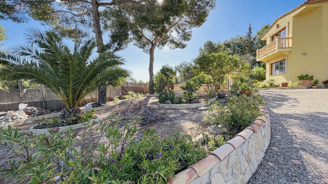 Mediterranean garden with structured planting and paved pathway design Mediterranean garden with structured planting and paved pathway design