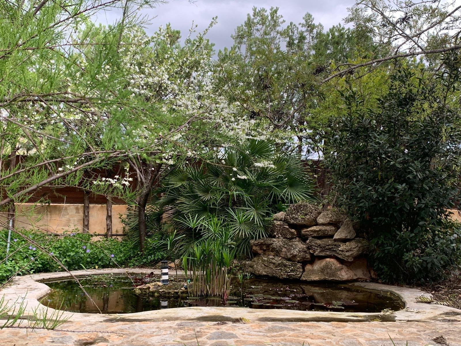 Idyllic garden area with a water basin and natural tree stock