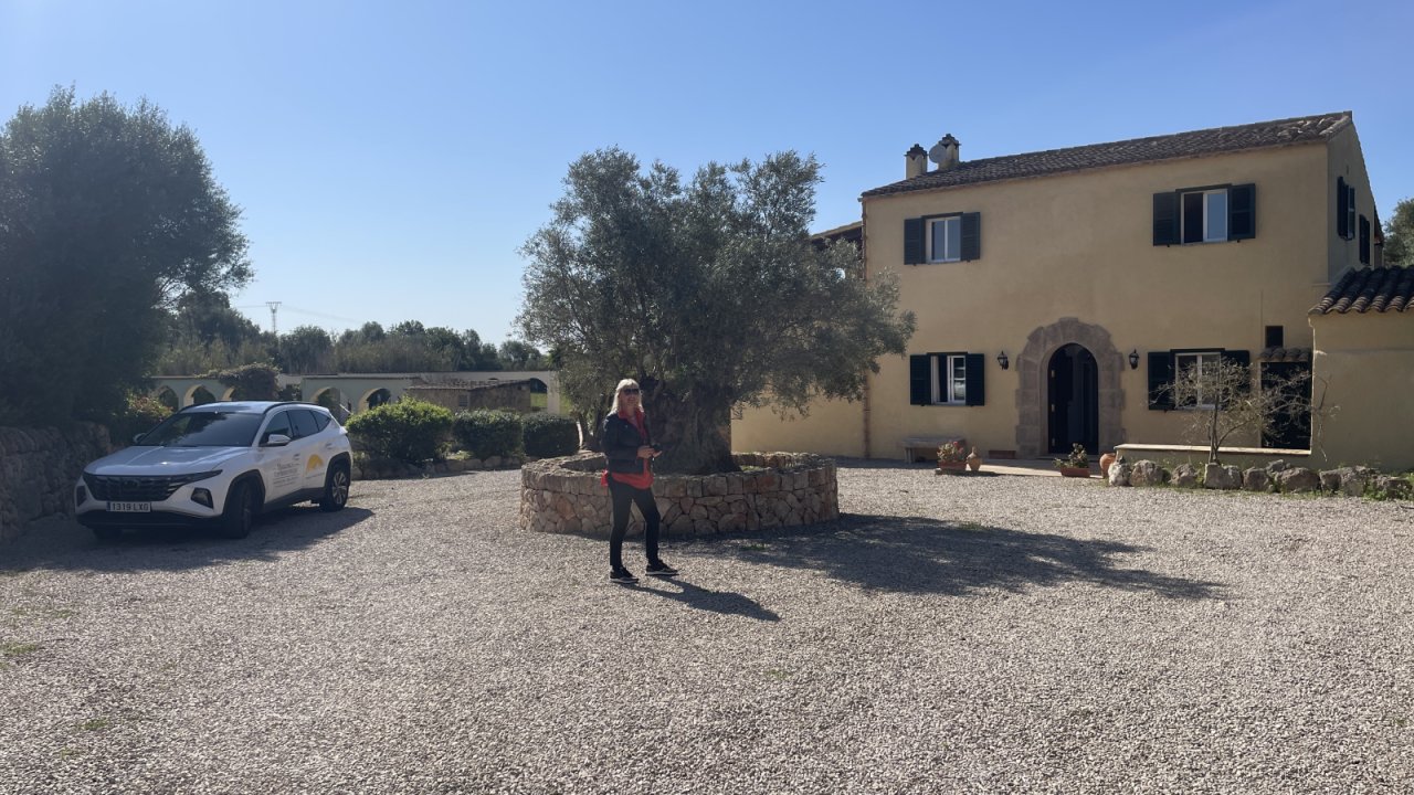 Spacious forecourt with authentic country house architecture and idyllic park landscape Spacious forecourt with authentic country house architecture and idyllic park landscape