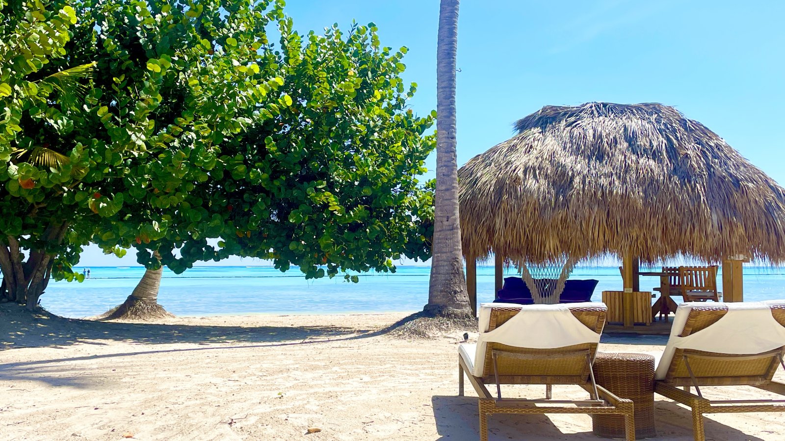 Tropical beach paradise with authentic palapa structures and direct water access Tropical beach paradise with authentic palapa structures and direct water access