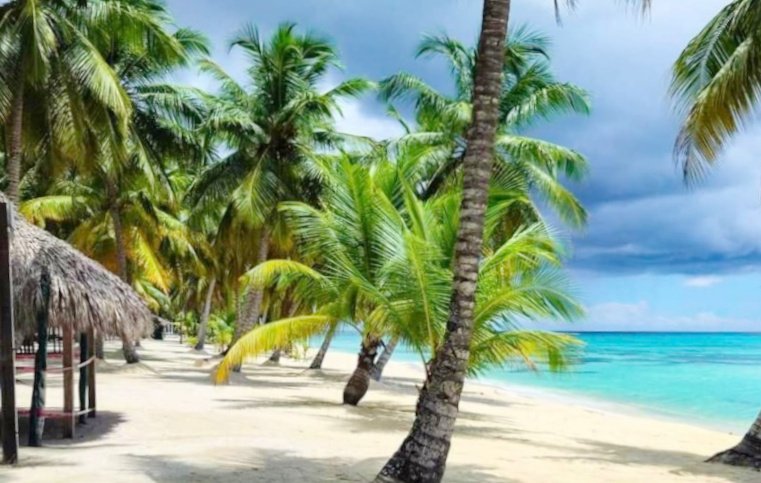 Charming investment in a Caribbean ambience Charming investment in a Caribbean ambience