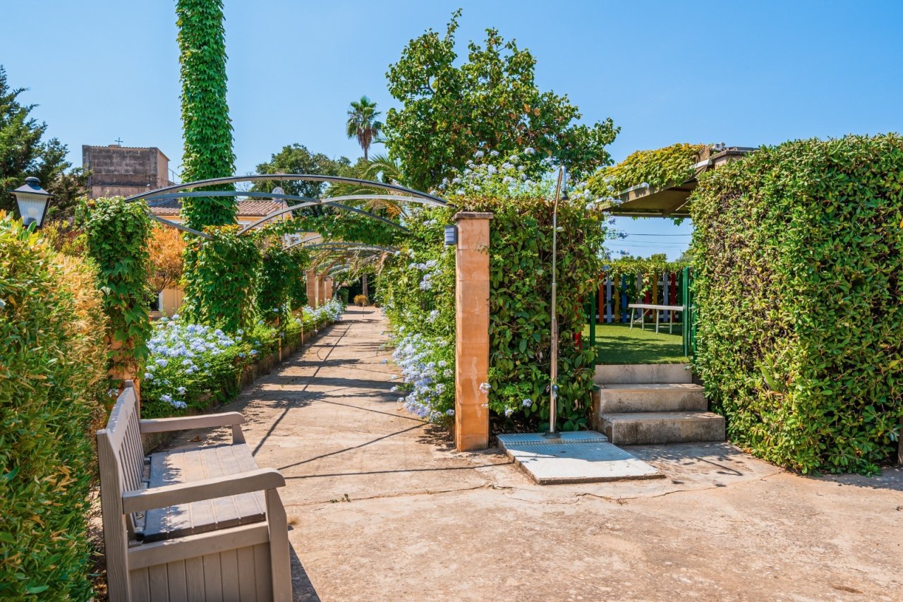 Romantic pergola arch with established climbing plants and direct access to the garden