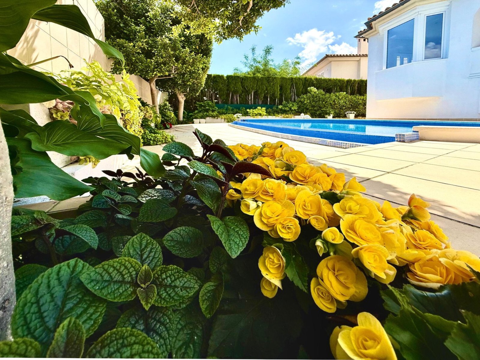 Pool area with spacious terrace layout and well-maintained garden ambiance Pool area with spacious terrace layout and well-maintained garden ambiance