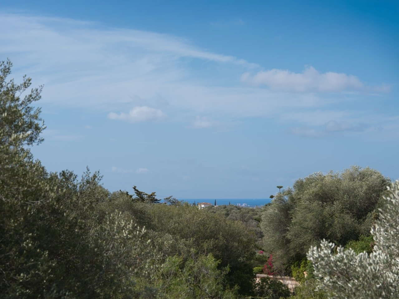 Distant view of the sea – Idyllic hillside location with panoramic view