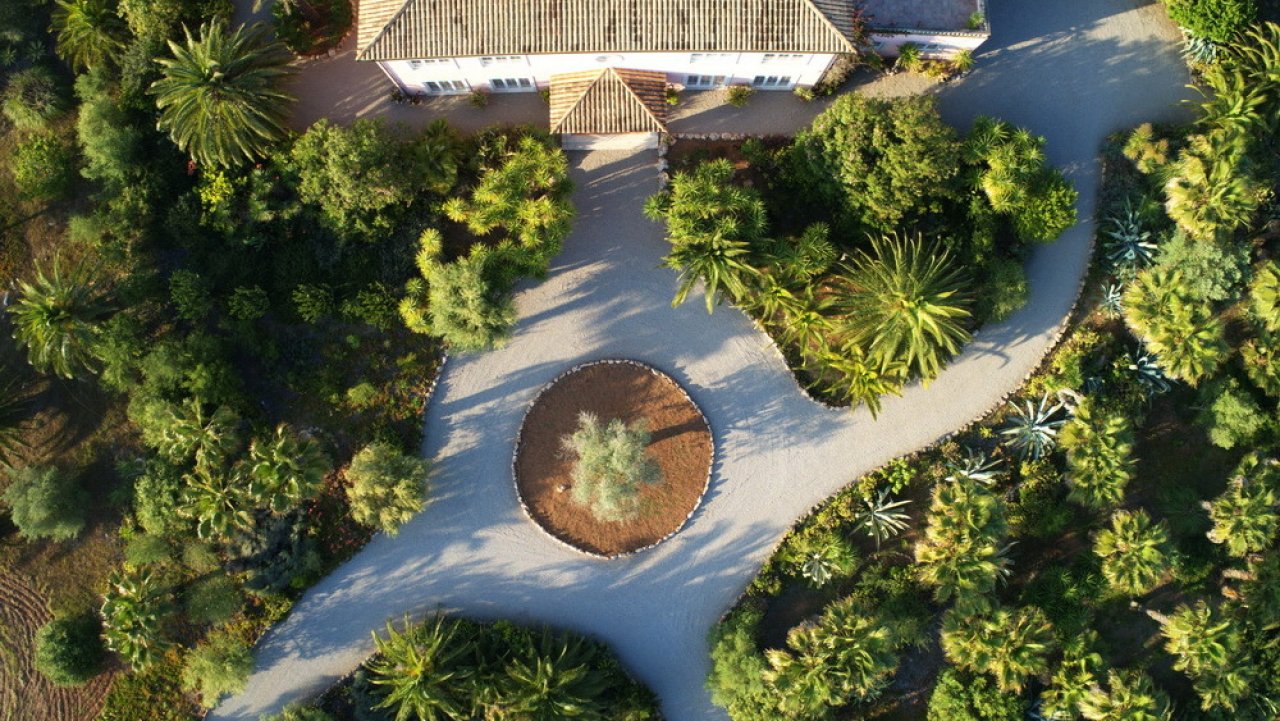 Park area with designed pathway concept and harmonious greenery