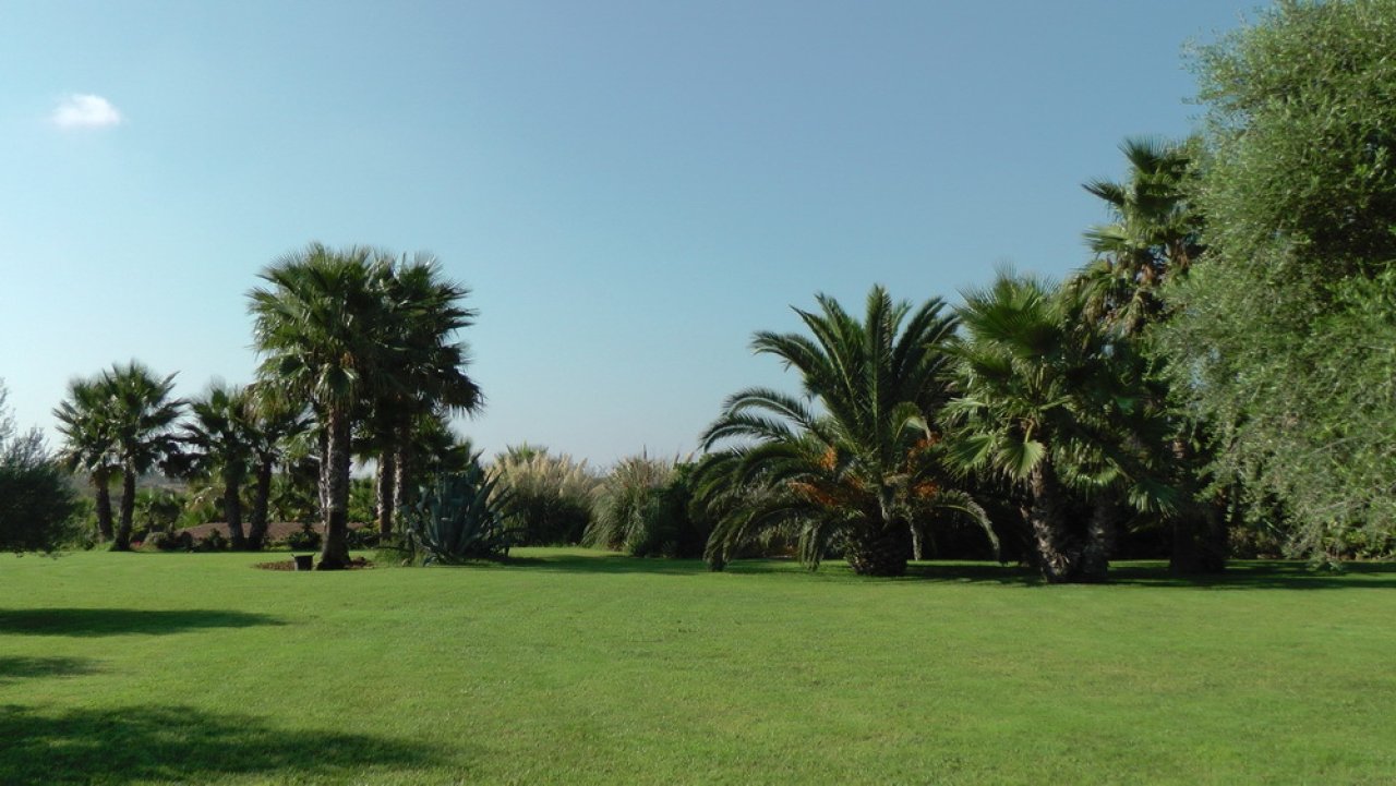 Park-like property with old trees and spacious green areas