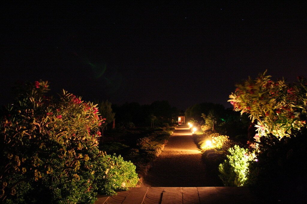 Illuminated garden promenade with professional pathway lighting and structured planting