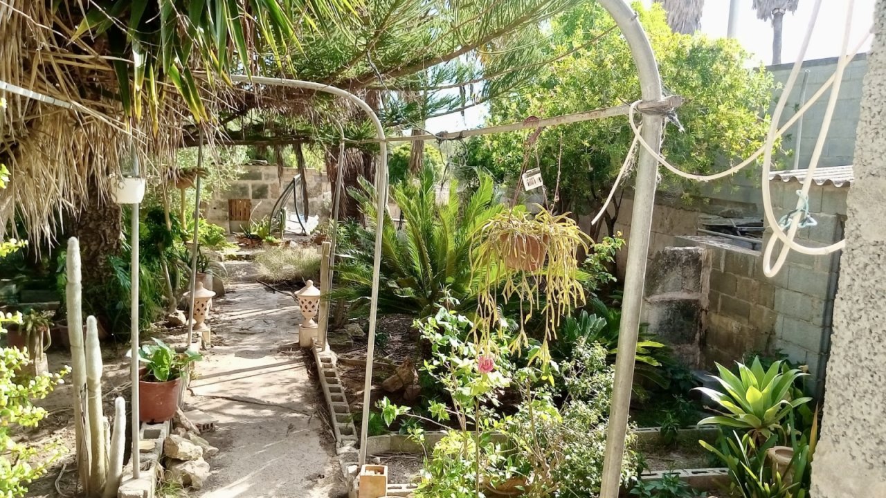Enchanted garden with a sturdy pergola structure and diverse planting options Enchanted garden with a sturdy pergola structure and diverse planting options
