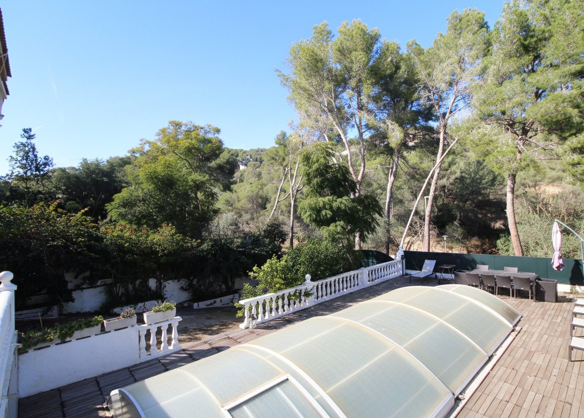 Sun terrace with integrated pool area and unobstructed forest view
