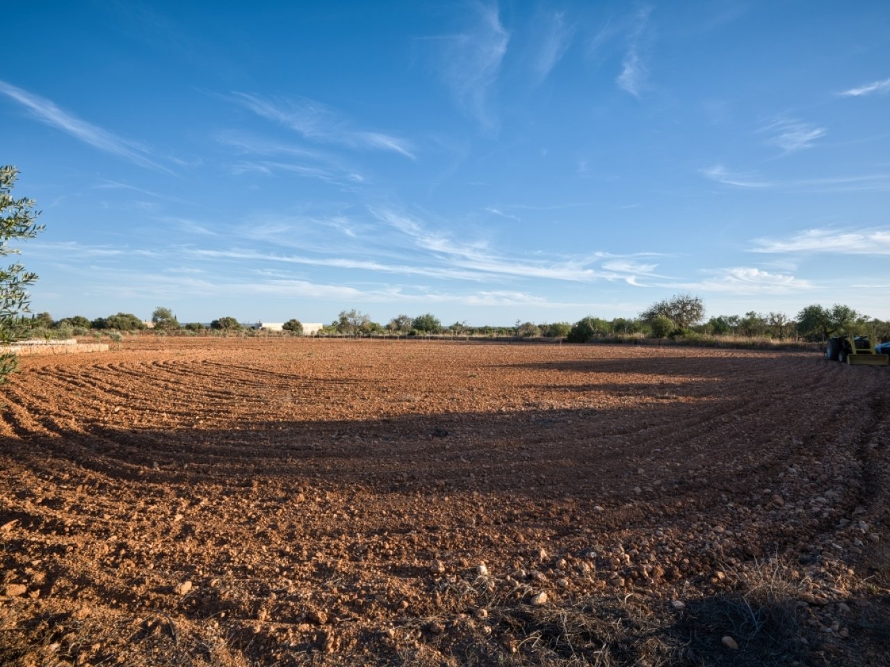 Agricultural land with excellent soil quality and optimal growing conditions