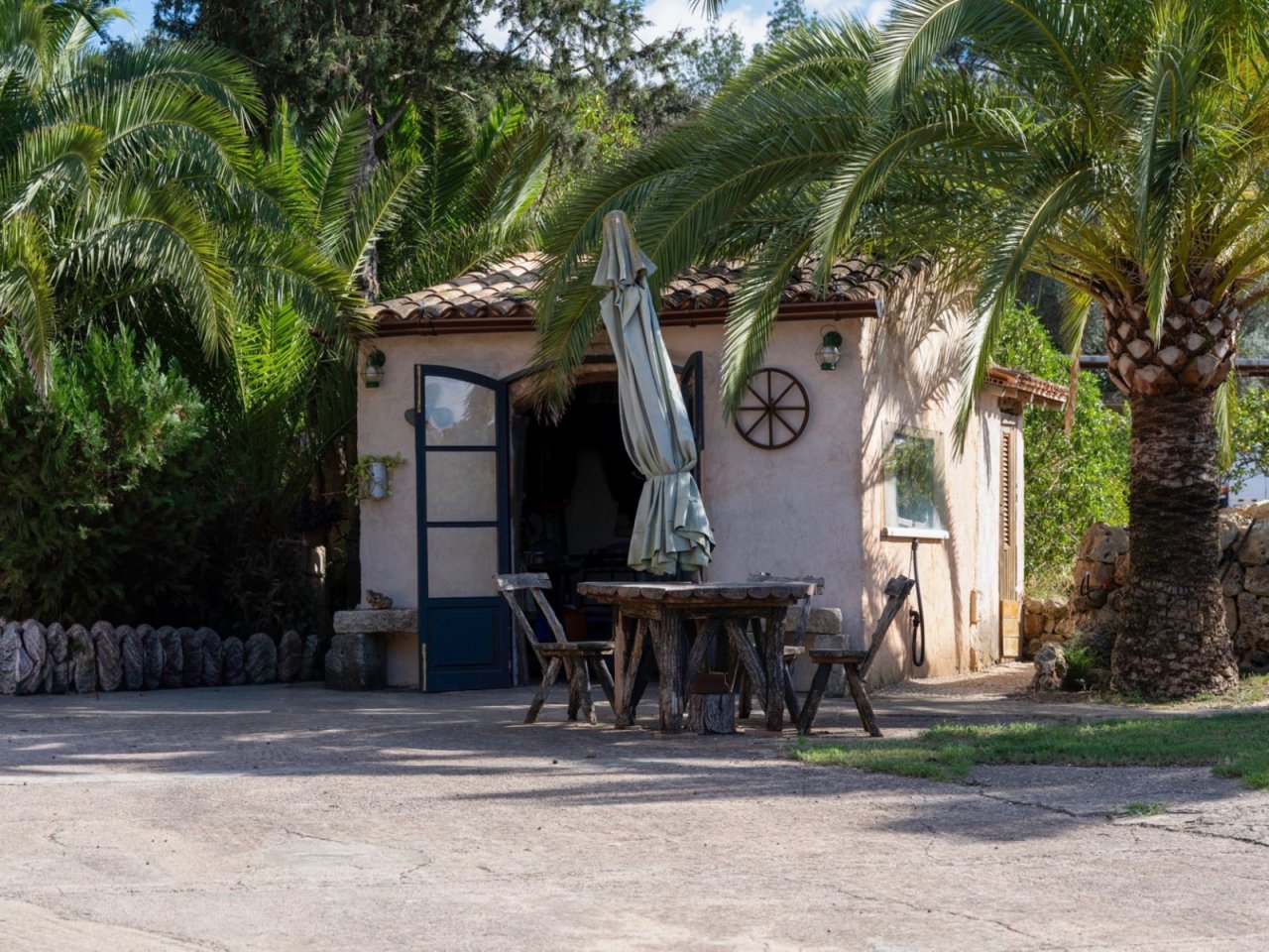 Shade-giving palms frame the cozy terrace with direct house entrance. Shade-giving palms frame the cozy terrace with direct house entrance.