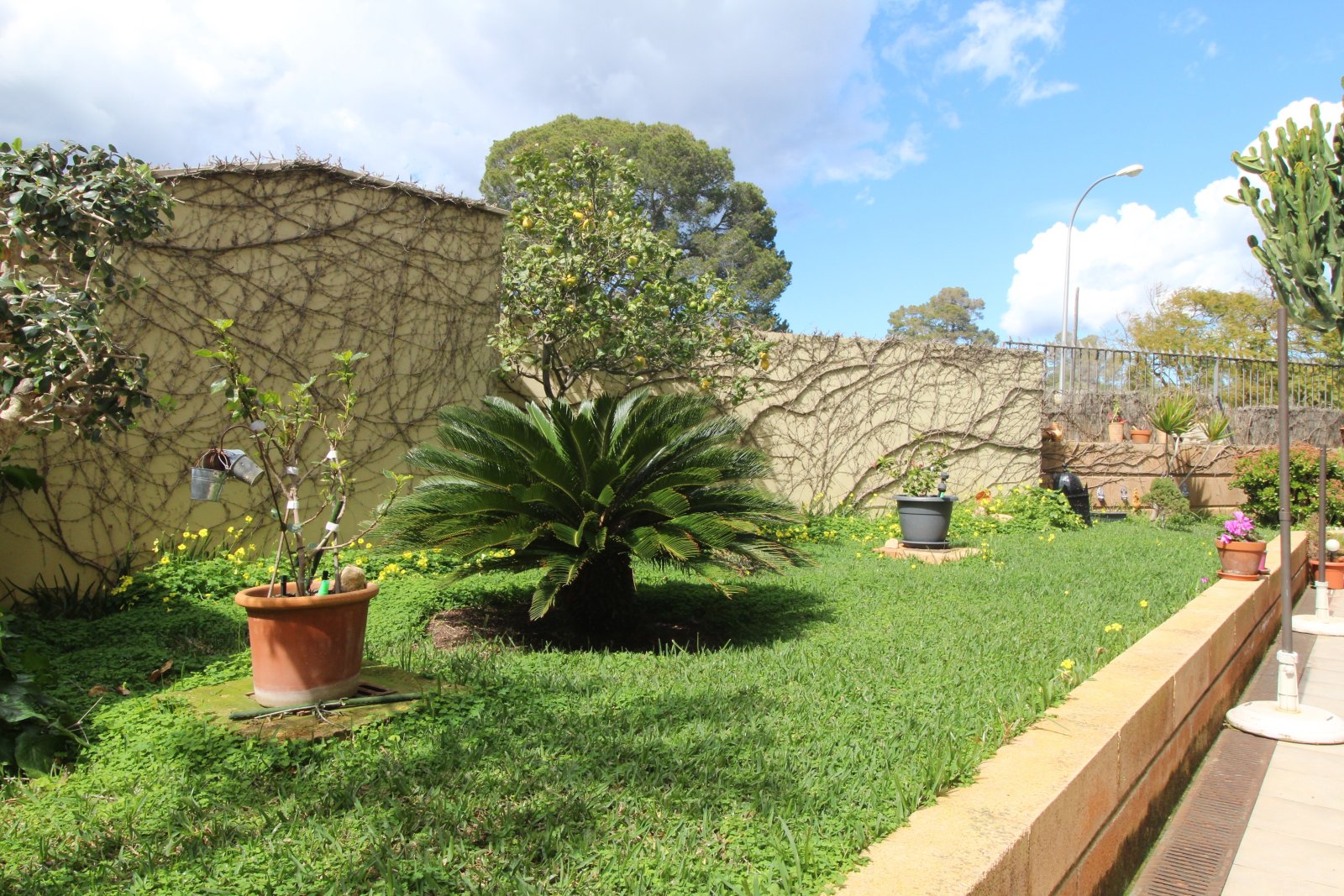 Private garden with high-quality fencing and diverse design options
