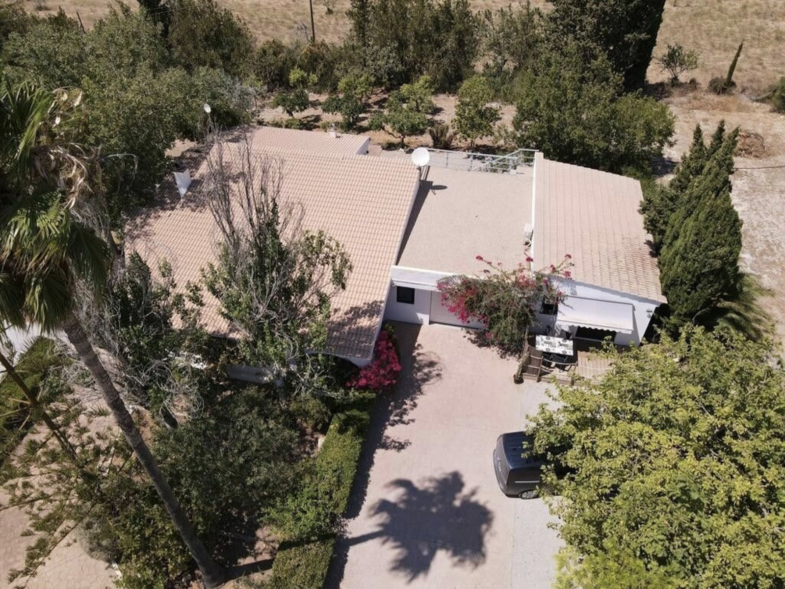 Aerial shot: Modern pool area with spacious sun terrace and natural garden setting