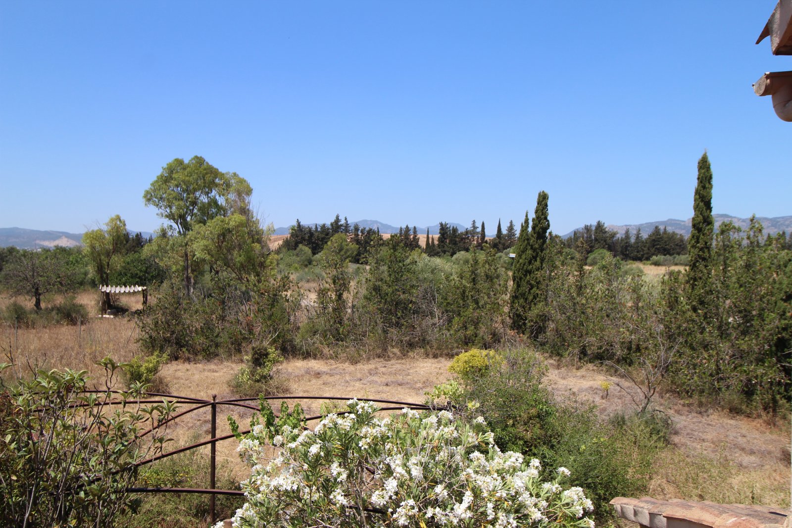 Unobstructed panoramic view of forest landscape and mountain range Unobstructed panoramic view of forest landscape and mountain range