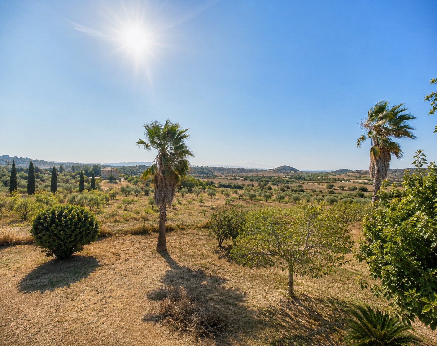 Spectacular panoramic views of the Tuscan landscape – unobstructed view of hills and olive groves