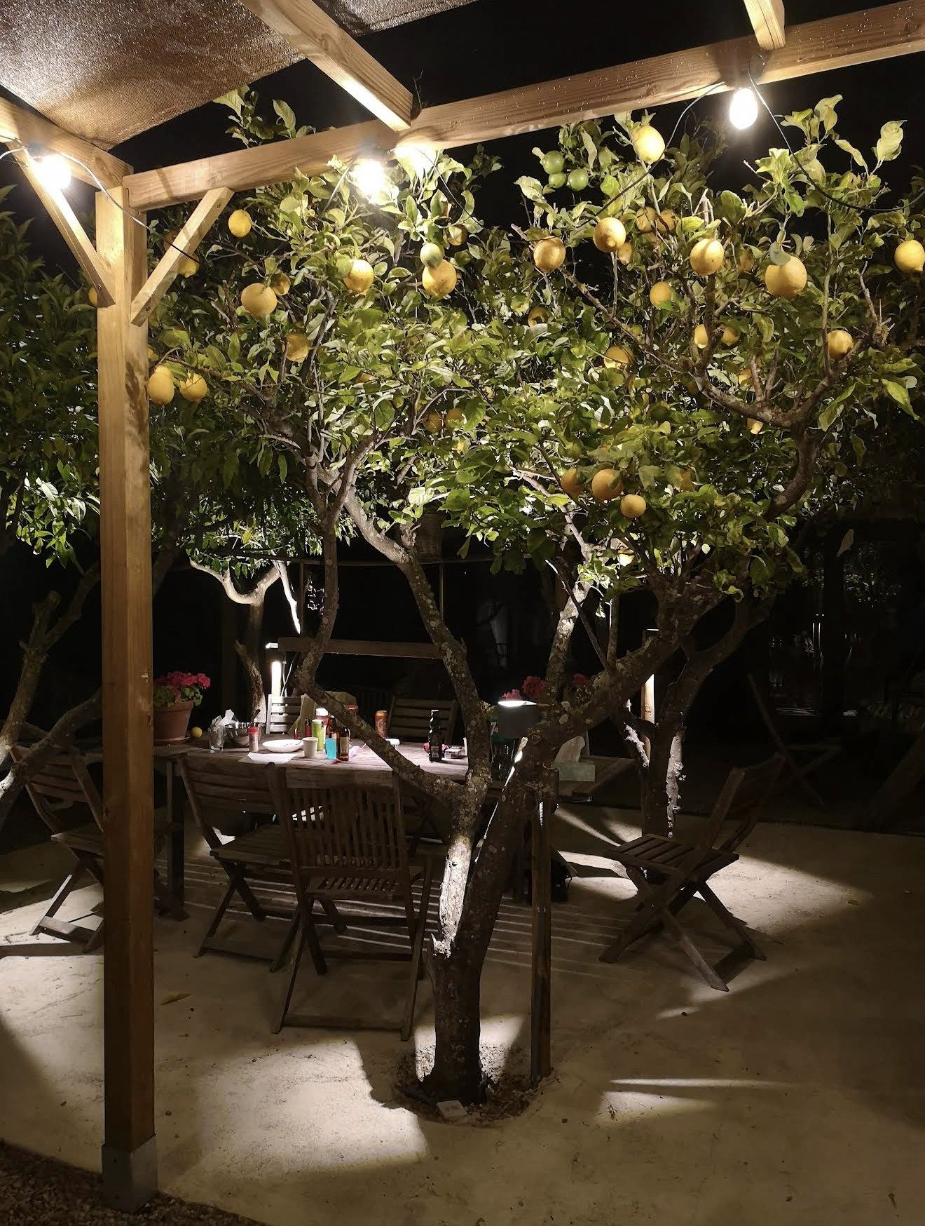 Covered pergola with professional LED lighting and a fixed terrace – an ideal outdoor area to relax Covered pergola with professional LED lighting and a fixed terrace – an ideal outdoor area to relax
