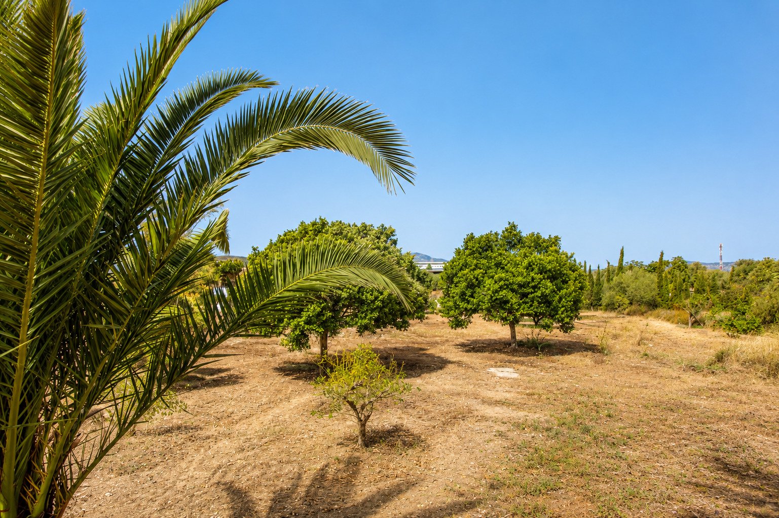 Mediterranean property with established trees and unobstructed landscape view Mediterranean property with established trees and unobstructed landscape view