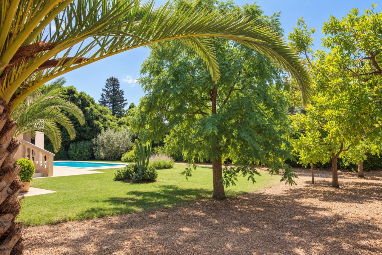 Park-like garden paradise with old trees and relaxing shady spots Park-like garden paradise with old trees and relaxing shady spots