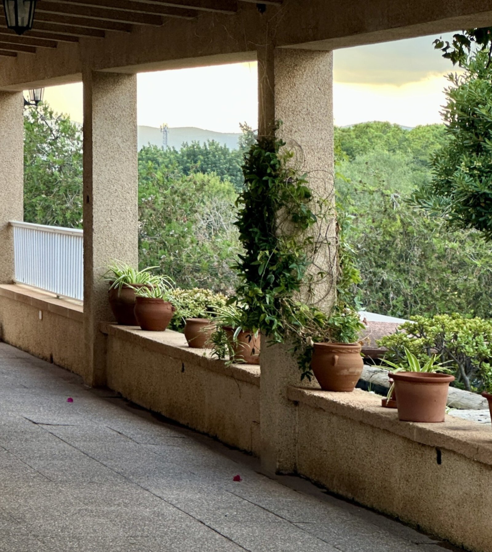 Covered loggia with panoramic view of the wooded landscape and natural stone pillars