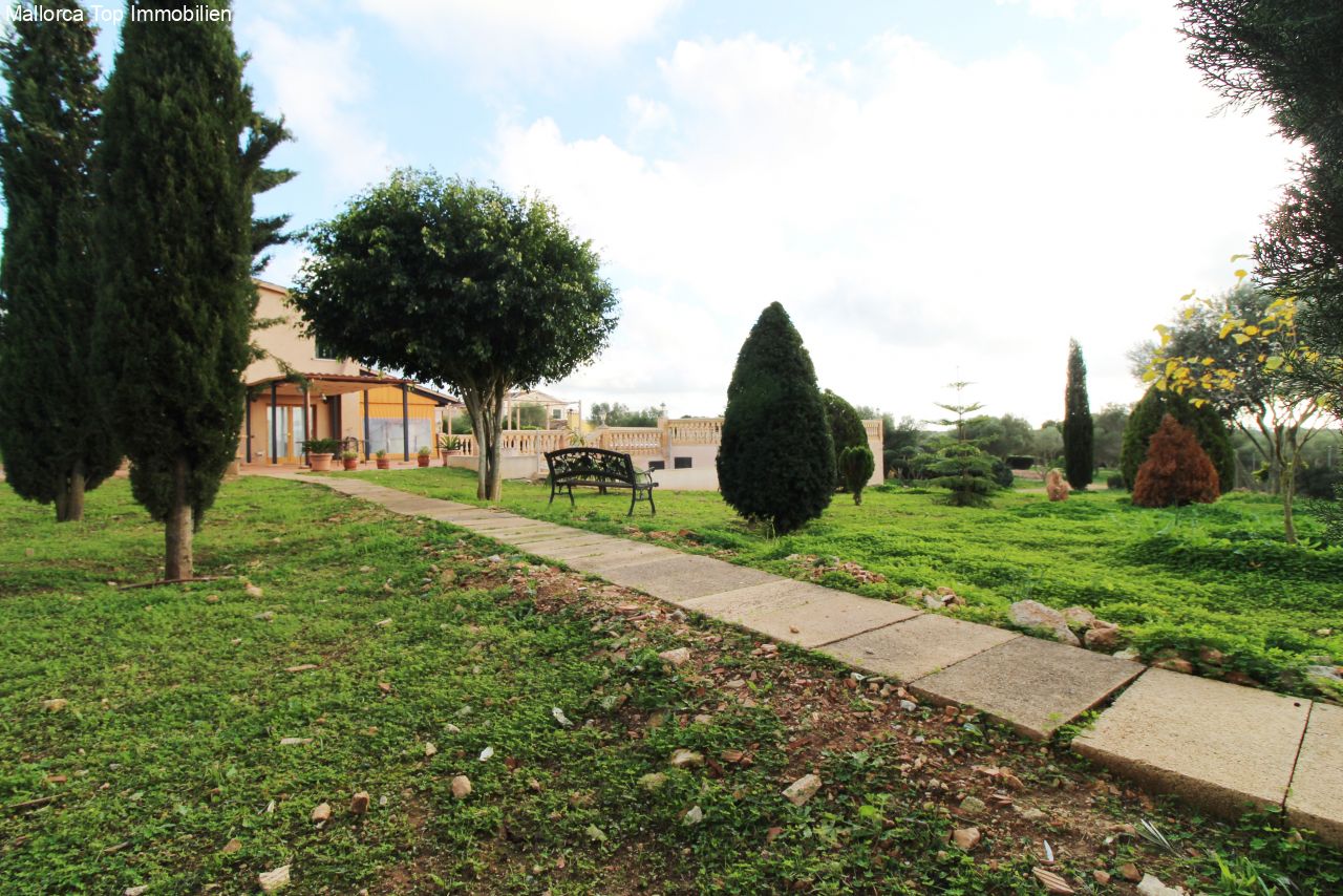 Park with well-maintained green spaces and shady trees