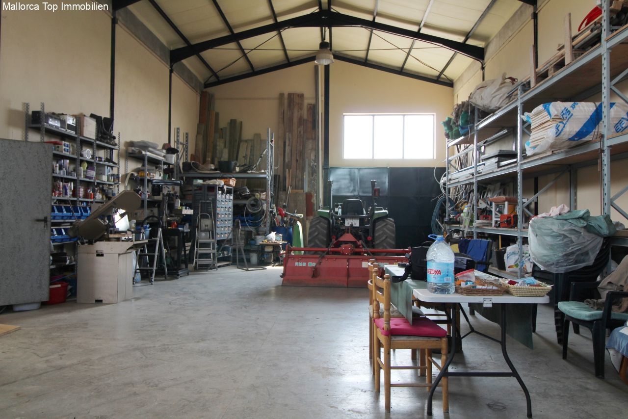 Workshop with a high barrel roof structure and optimal workspace