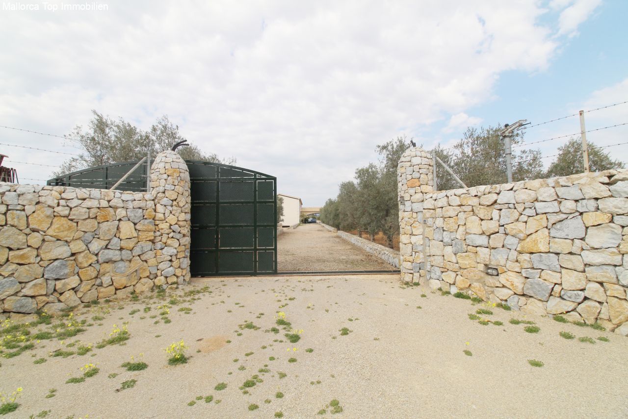 Robust natural stone walls with a solid driveway gate and secured property access