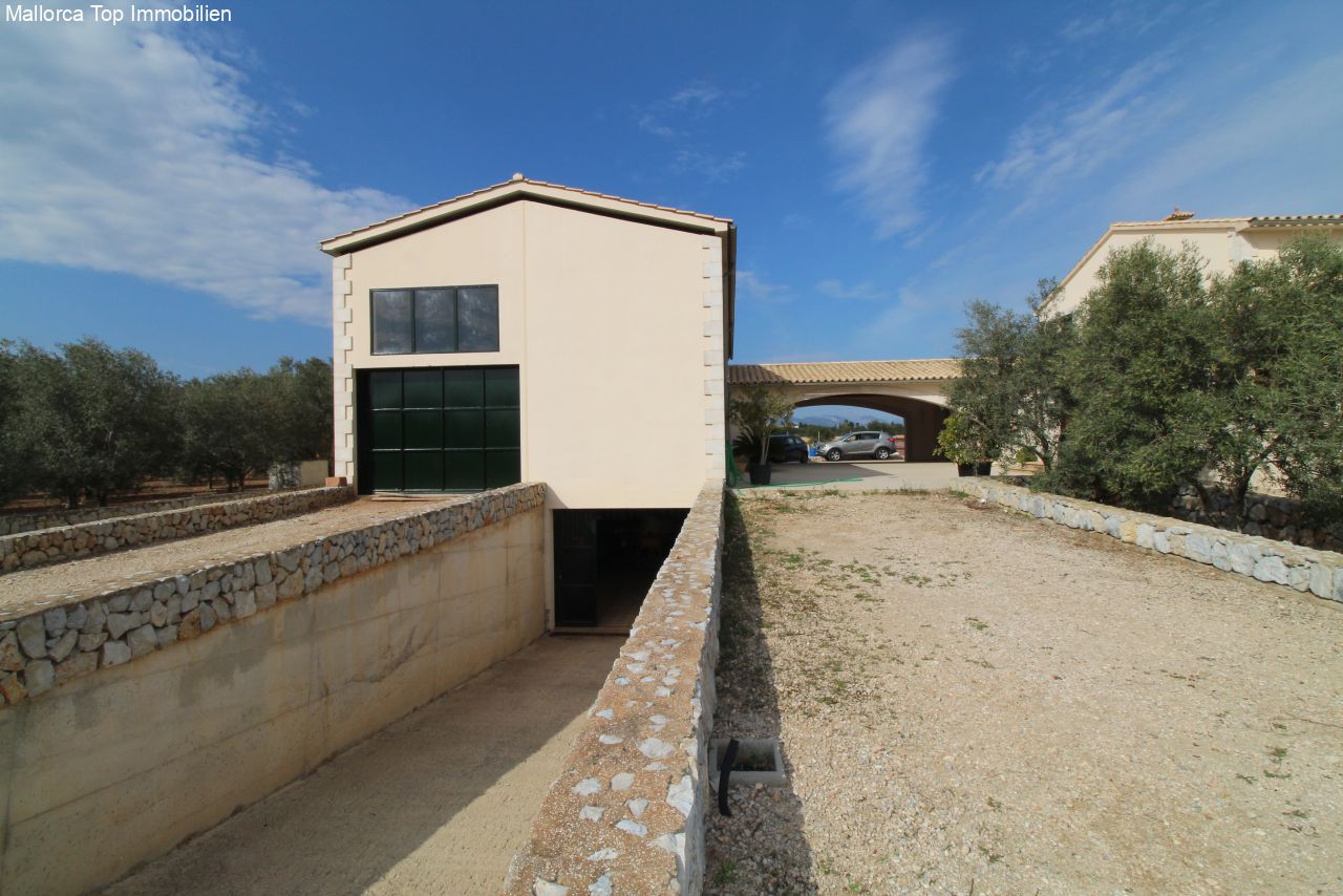Modern garage building with integrated carport and functional courtyard area