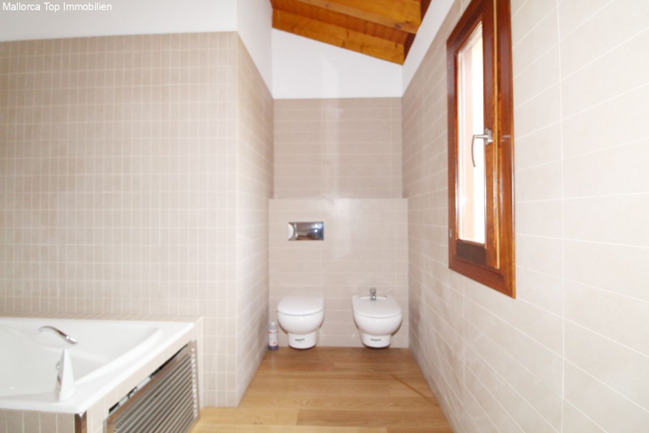 Functional guest toilet with separate sanitary facilities and natural skylight