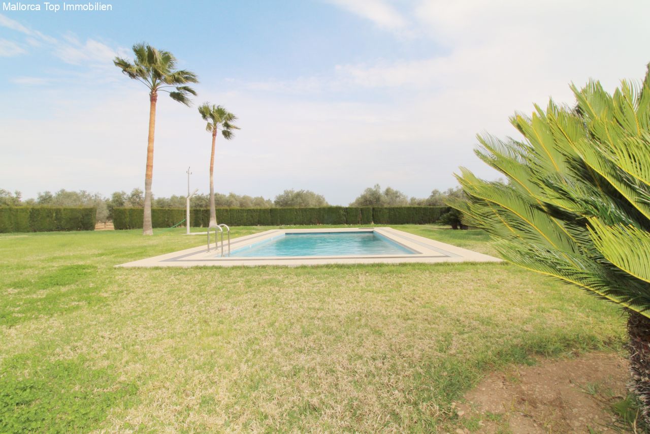 Refreshing swimming pool with sunny lounging area and well-maintained garden ambiance