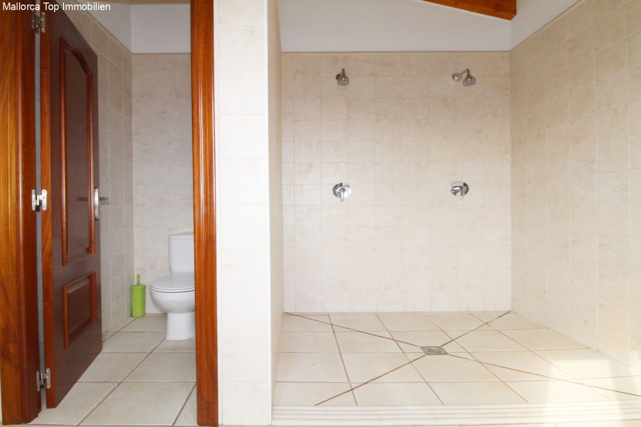 Modern bathroom with walk-in shower and double shower system