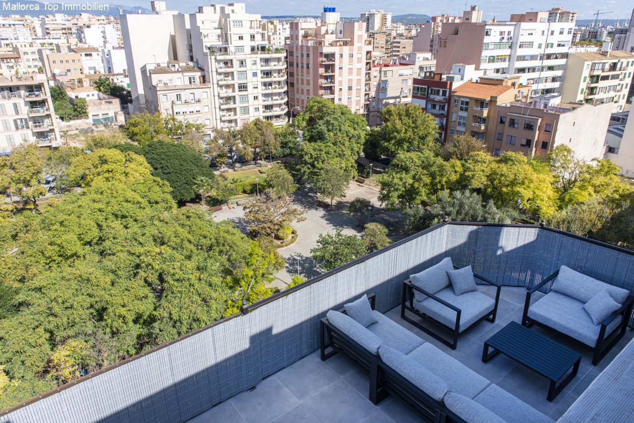 Roof terrace with windbreak and unobstructed view of the green space park