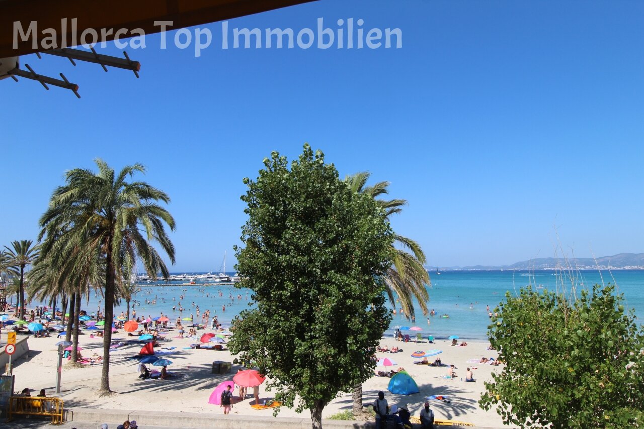 Beachfront with direct access to the sea and water sports facilities Beachfront with direct access to the sea and water sports facilities