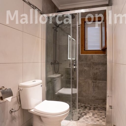 Modern bathroom with walk-in shower and high-quality sanitary fittings