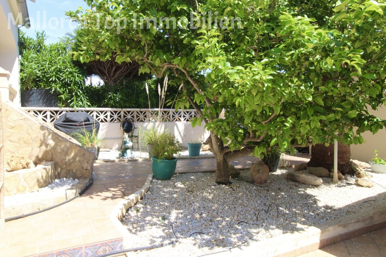 Private courtyard with Mediterranean flair and natural greenery Private courtyard with Mediterranean flair and natural greenery