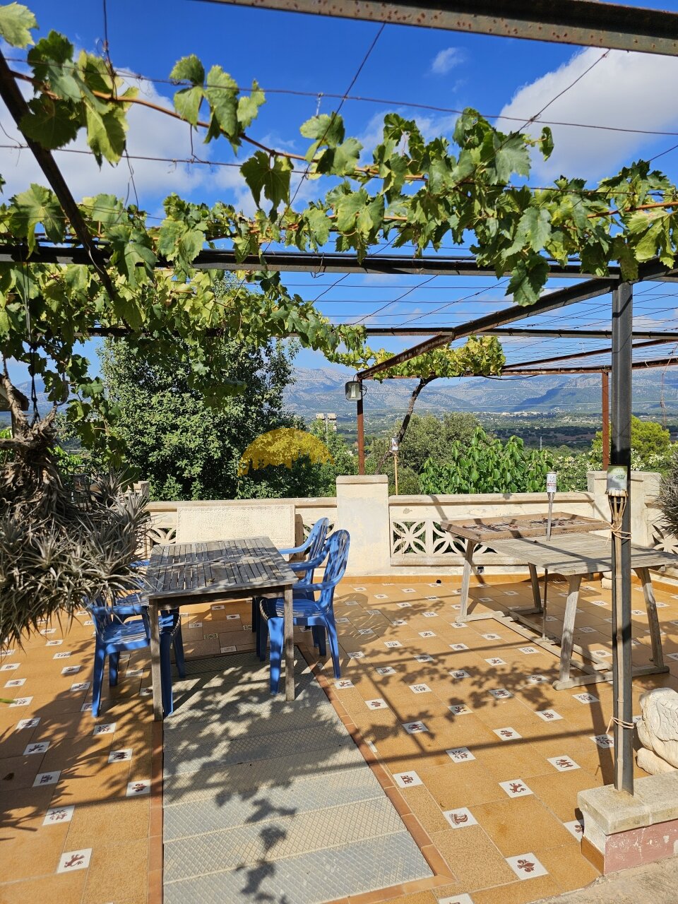 Terrace roof with grapevine pergola and panoramic view of the valley Terrace roof with grapevine pergola and panoramic view of the valley