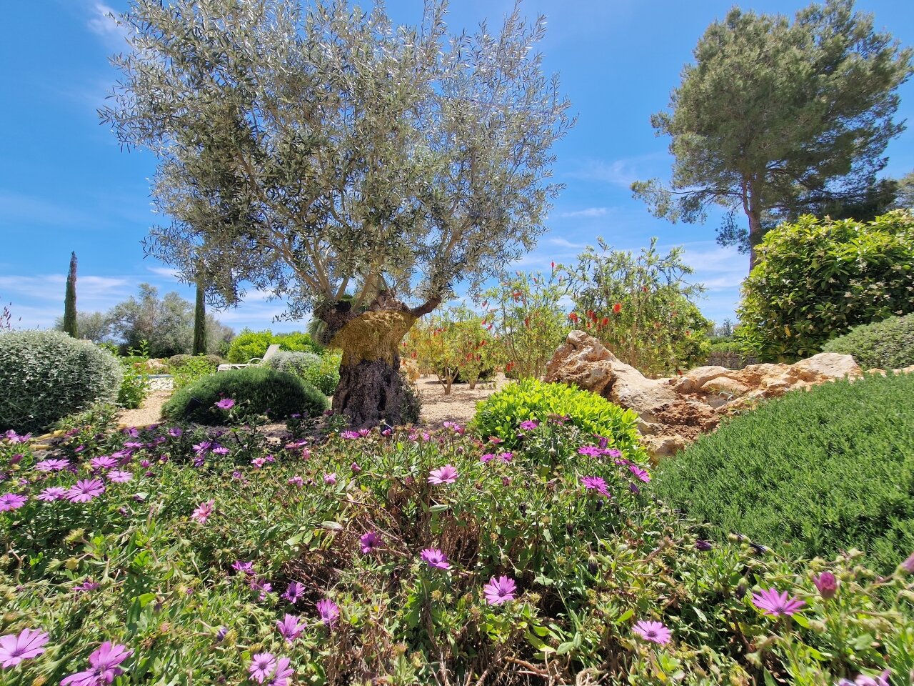 New building. Exclusive finca with views of the sea and Son Severa New building. Exclusive finca with views of the sea and Son Severa