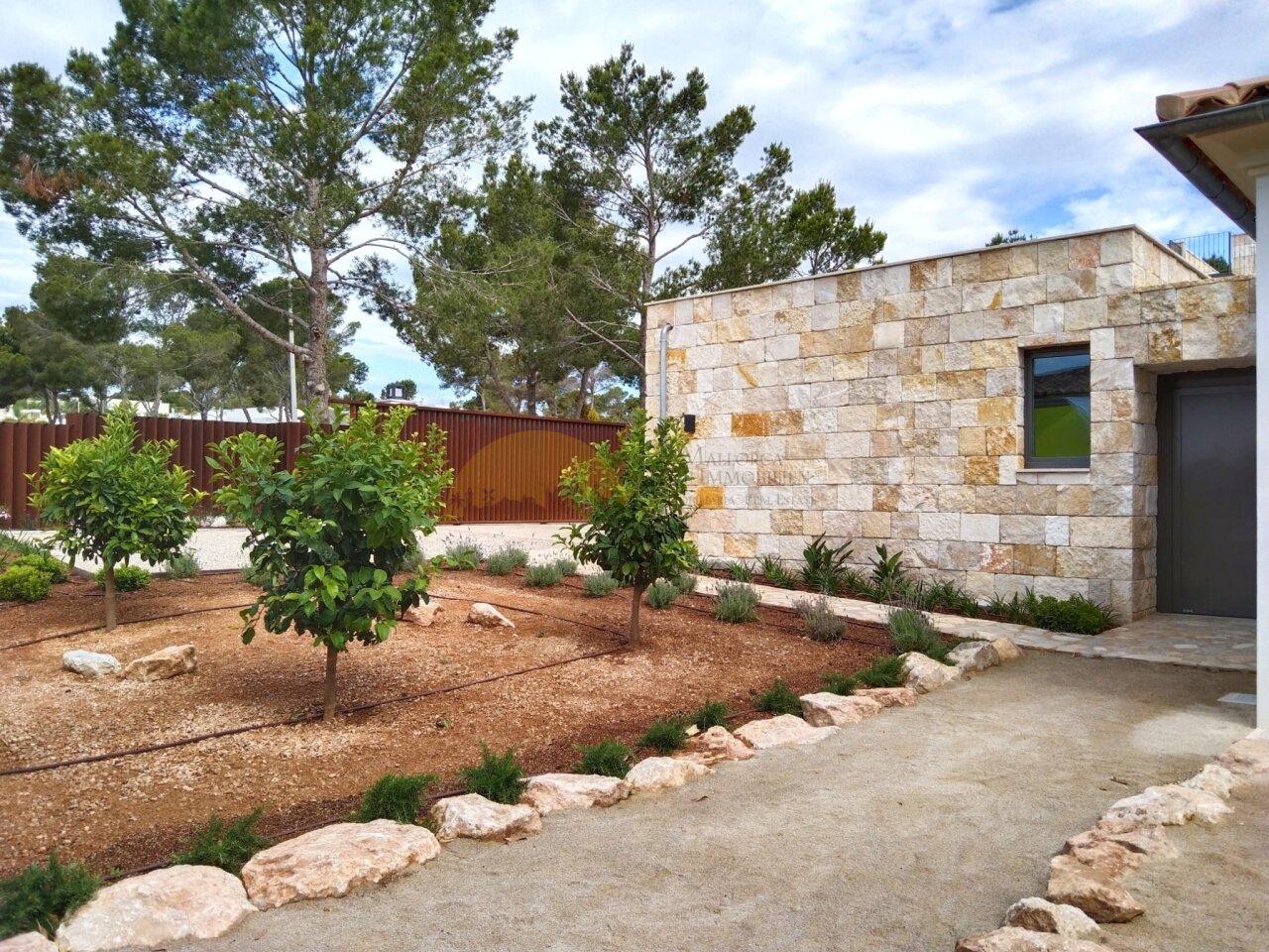 Natural garden with established trees and structured pathways Natural garden with established trees and structured pathways