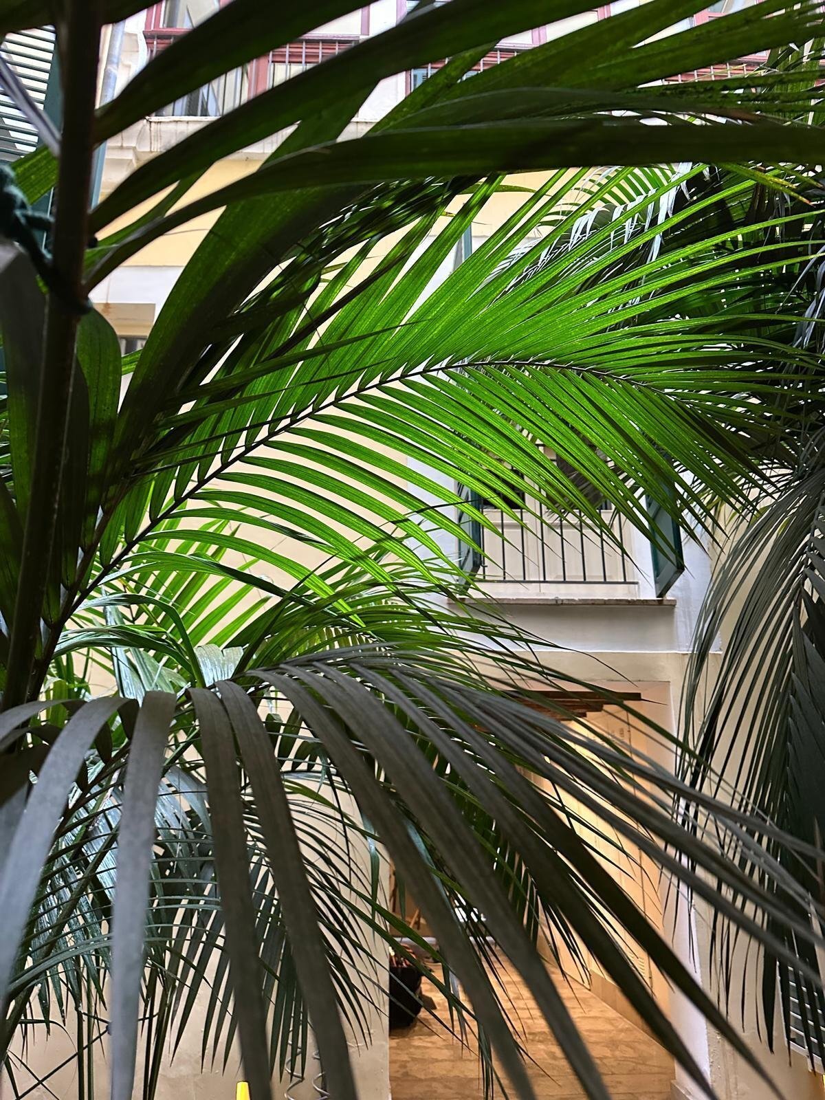 Brightly lit courtyard area with natural ventilation and modern window design