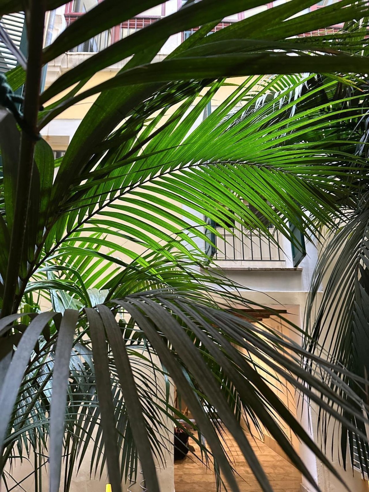Brightly lit courtyard area with natural ventilation and modern window design